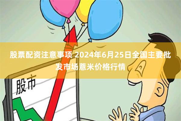 股票配资注意事项 2024年6月25日全国主要批发市场薏米价格行情