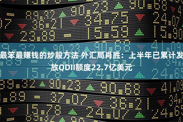 最笨最赚钱的炒股方法 外汇局肖胜：上半年已累计发放QDII额度22.7亿美元