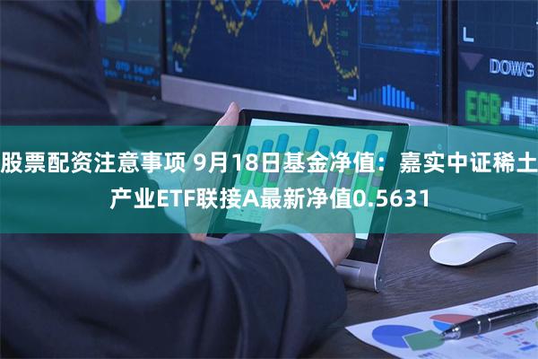 股票配资注意事项 9月18日基金净值：嘉实中证稀土产业ETF联接A最新净值0.5631