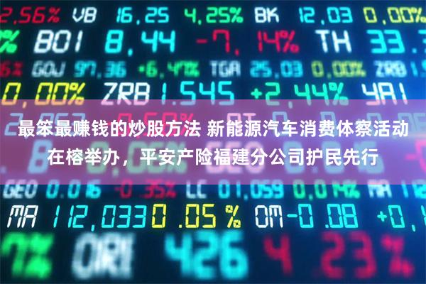 最笨最赚钱的炒股方法 新能源汽车消费体察活动在榕举办，平安产险福建分公司护民先行